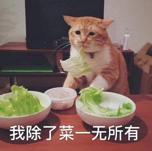 最近股市大涨_炒股APP卡顿_配资比例