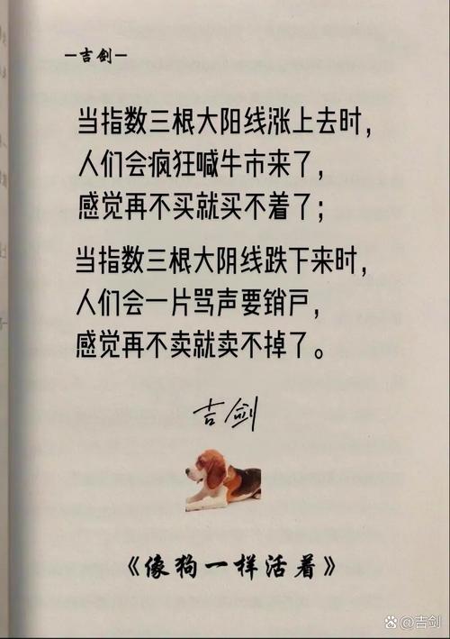 2019年近半股民尝尽酸甜苦辣，选股票配资必看这前三