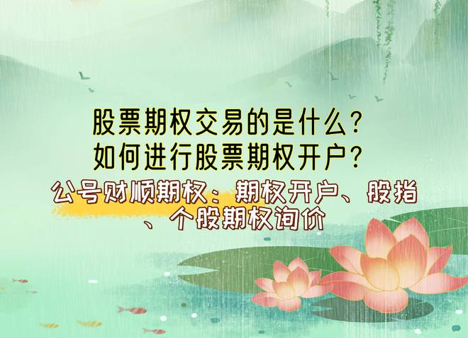 股票融资怎么开通_股票期权交易本质_股票期权开户条件