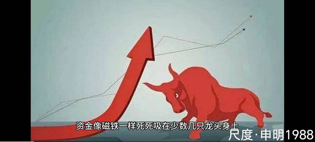 东莞股神黄木秀_股票配资法律纠纷_东莞股票配资平台