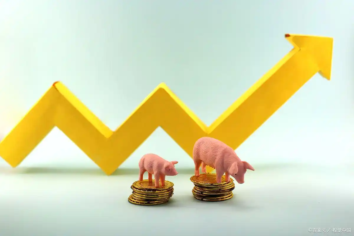 杠杆炒股定义与风险_2万元融资融券操作方法_股票杠杆融资