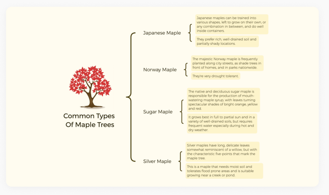 免费在线思维导图工具_思维导图模板网站_免费股票配资平台