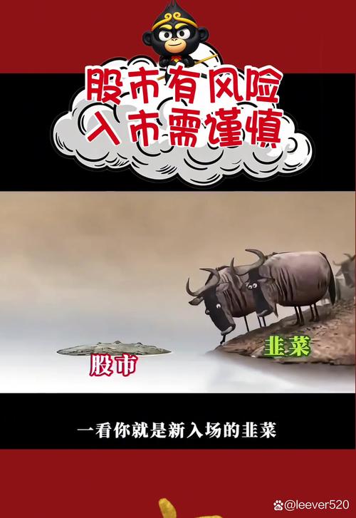 监管失当与市场价值混乱_a股杠杆怎么开通_A股第一次大规模高杠杆危机