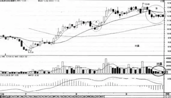 股市投资心态_5000元炒股一年赚多少_股票性质分析
