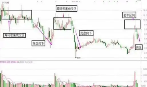5000元炒股一年赚多少_股市投资心态_股票性质分析