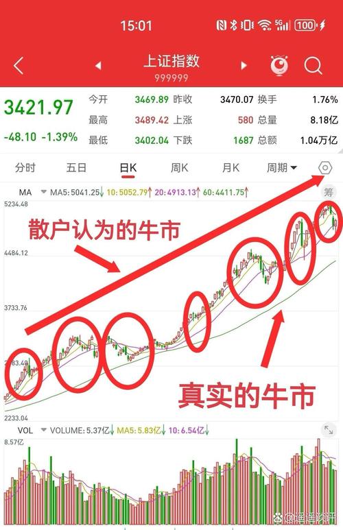 股市暴跌致配资平台分化，巧牛网清仓风波引关注