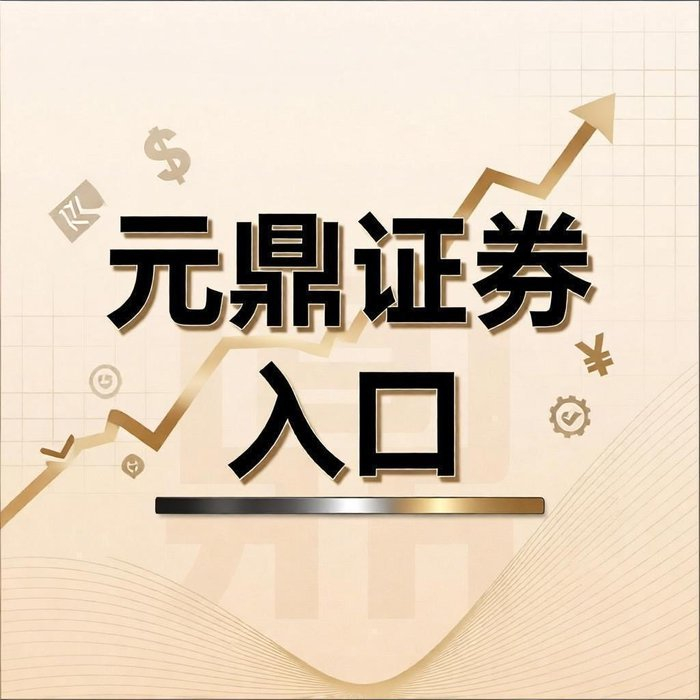 股票投资_股票杠杆怎么申请_配资服务风险