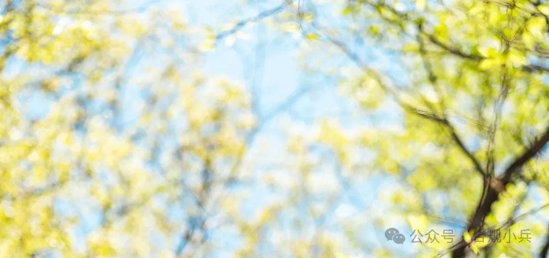 场外配资出借账户模式核查方法及监管要求介绍