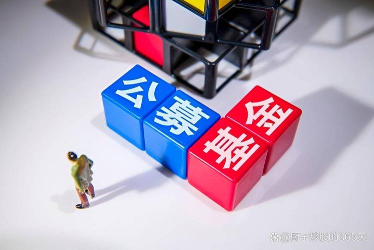 专业股票配资价格_证监会打击场外配资典型案例_场外配资违法活动