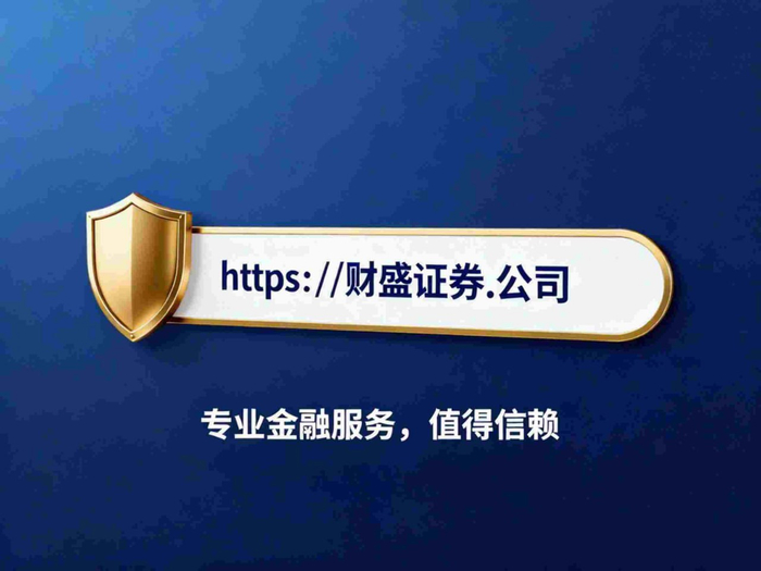 正规实时资金配置平台的制度架构及监管逻辑运行机制研究