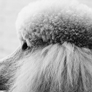 网络投资理财被骗怎么报案_股票理财_投资理财被骗追回损失方法