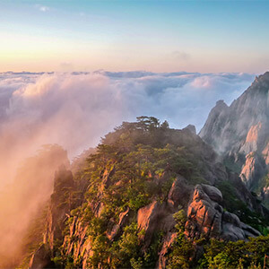 股票理财_投资理财被骗追回损失方法_网络投资理财被骗怎么报案