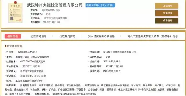 期货配资刑事案件 武汉坤州大德投资管理有限公司 非法经营期货配资案_杠杆配资
